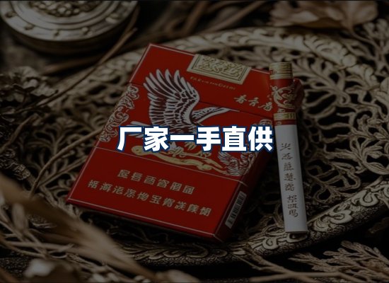 专业团队办公环境